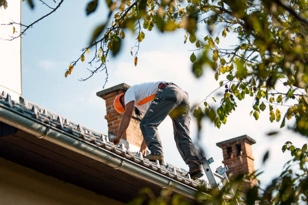 Best Roof Inspection Near Me  in Eureka, IL
