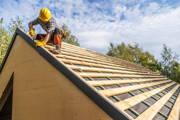 Best Roof Gutter Cleaning  in Eureka, IL