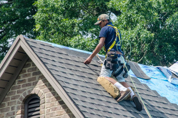 Best Residential Roofing Contractor  in Eureka, IL